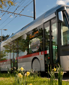 Réseau TCL : le temps des travaux