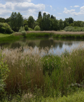 Saint-Priest : des activités autour des zones humides au parc technologique