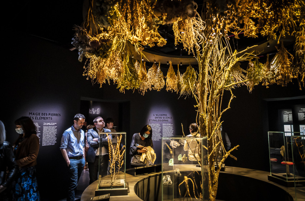 Un livre magique au musée d'histoire (sur)naturelle de Toulouse