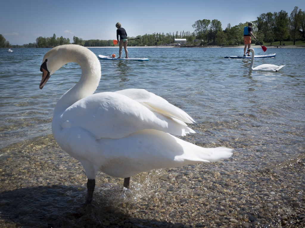 Nos bons plans au bord de l'eau !