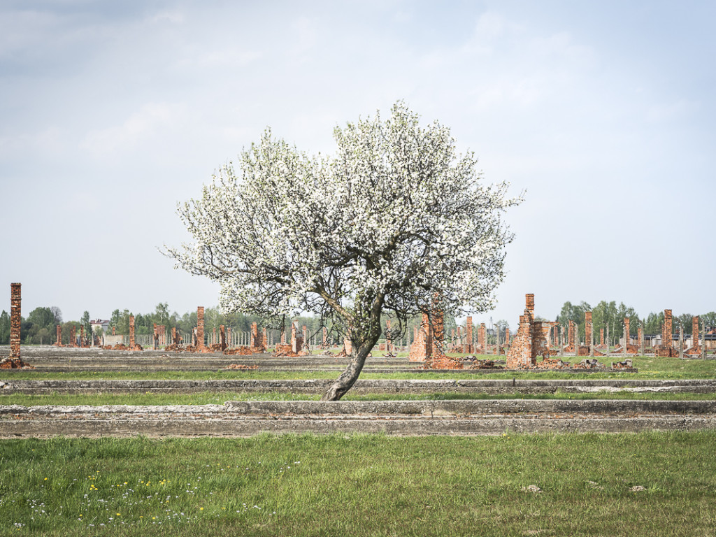 Voyage-mémoire à Auschwitz