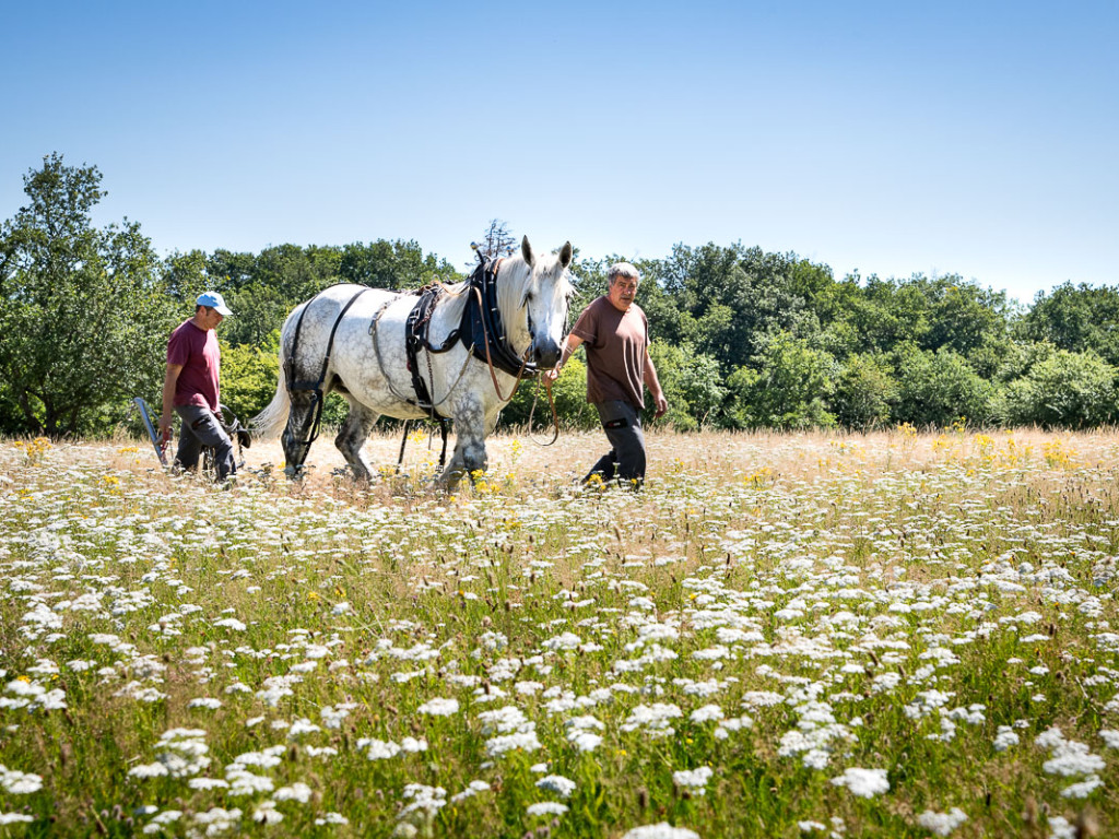 Un été au domaine de Lacroix-Laval