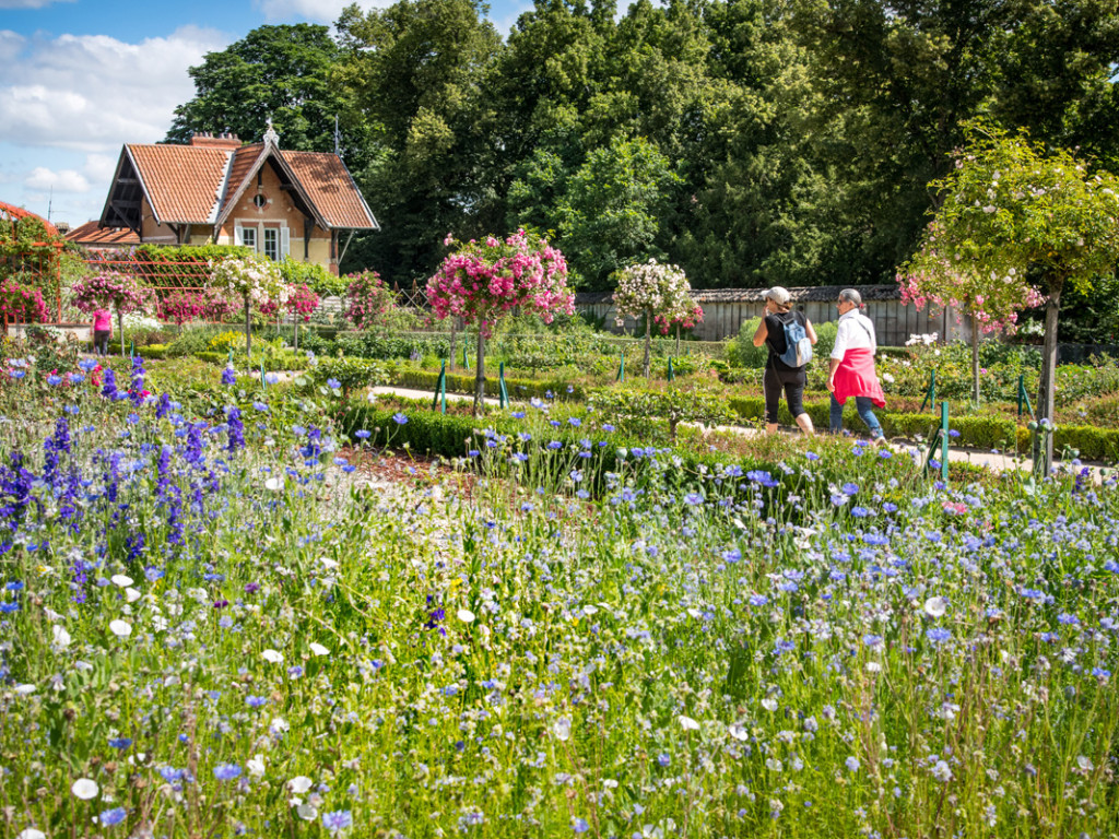 Un été au domaine de Lacroix-Laval