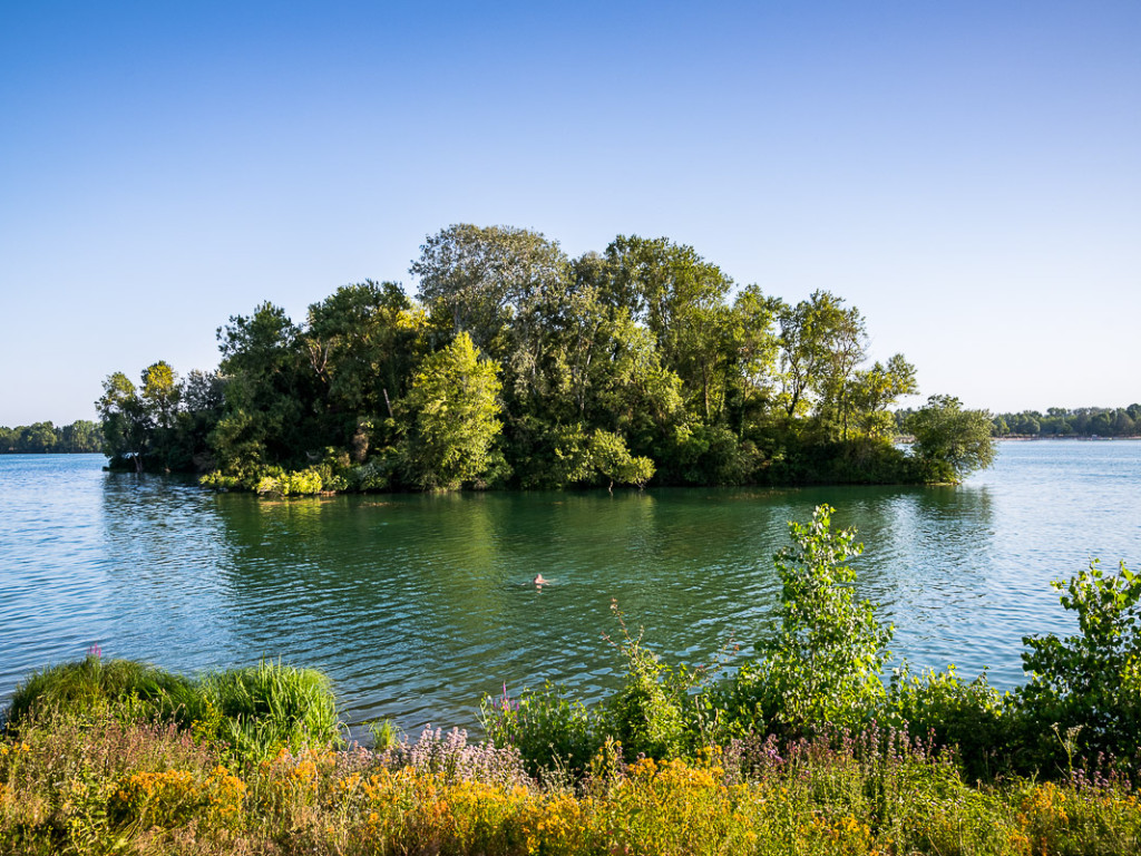 Le Grand Parc Miribel Jonage a 50 ans !