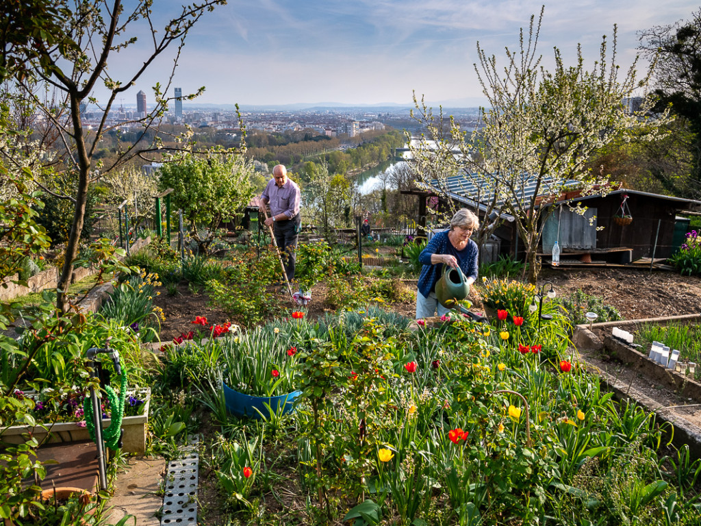 Nature en ville : comment la Métropole agit