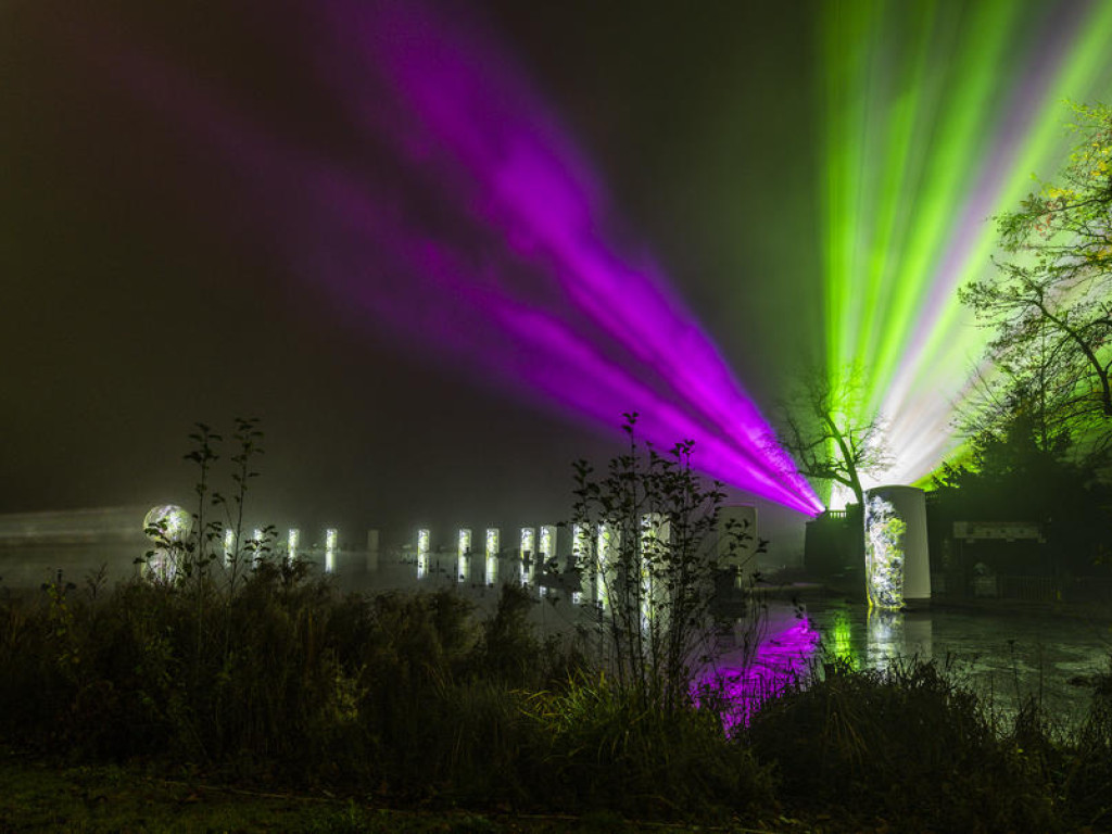 Fête des Lumières : édition 2019 !