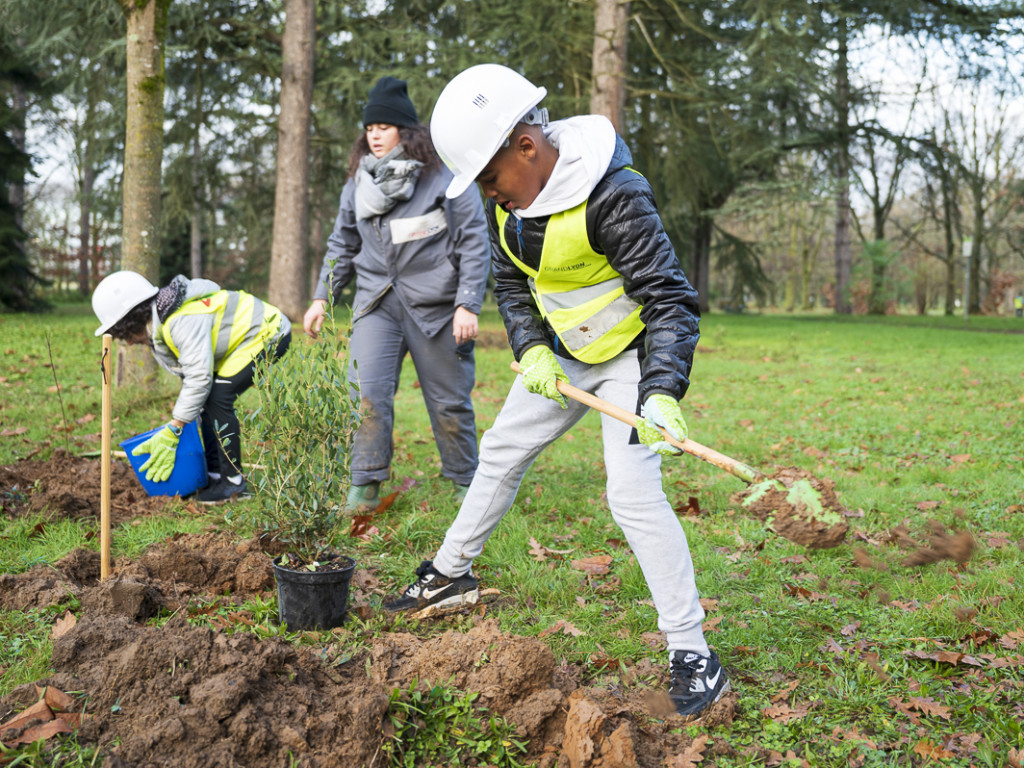 3000 nouveaux arbres plantés au parc de Parilly