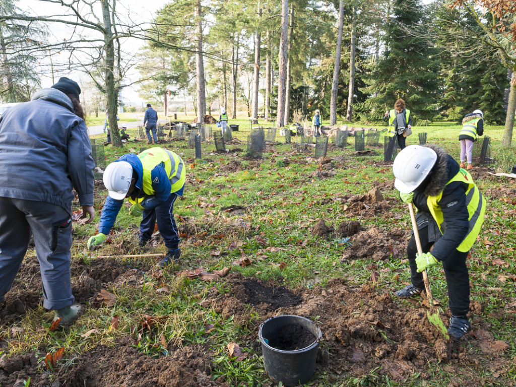 3000 nouveaux arbres plantés au parc de Parilly