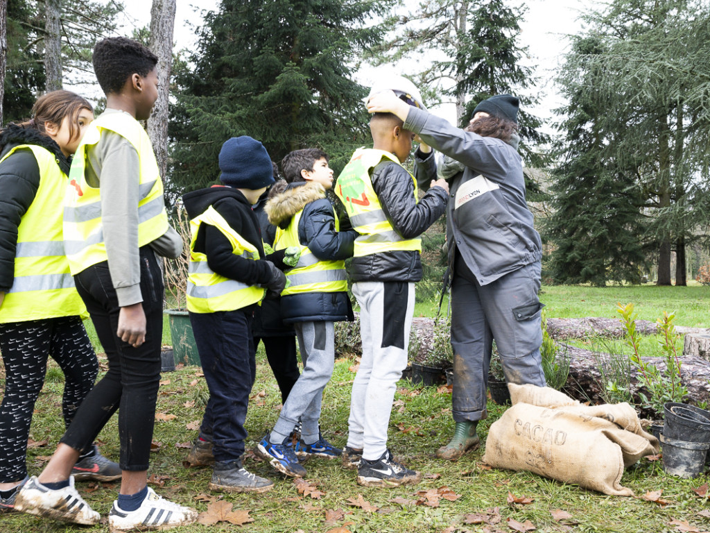 3000 nouveaux arbres plantés au parc de Parilly