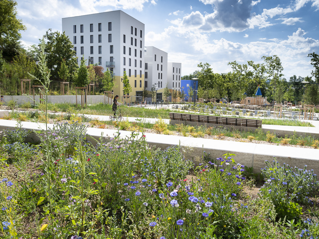 Jardin des belvédères : sortie en famille à la Duchère