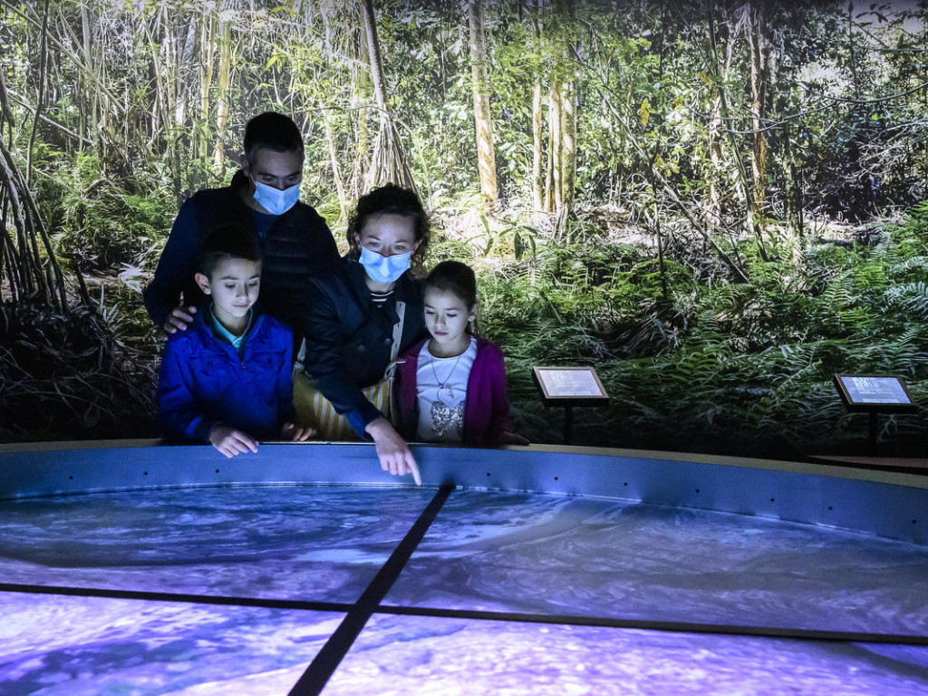 Musée des Confluences : voyage en terre malgache avec Makay