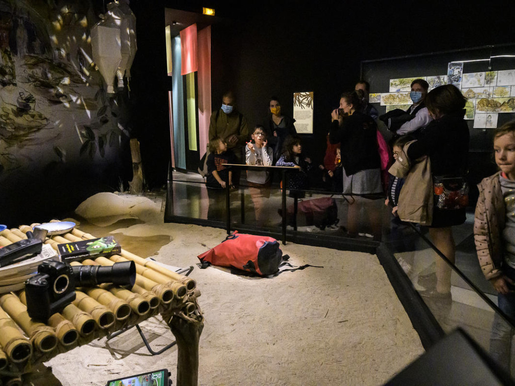 Musée des Confluences : voyage en terre malgache avec Makay