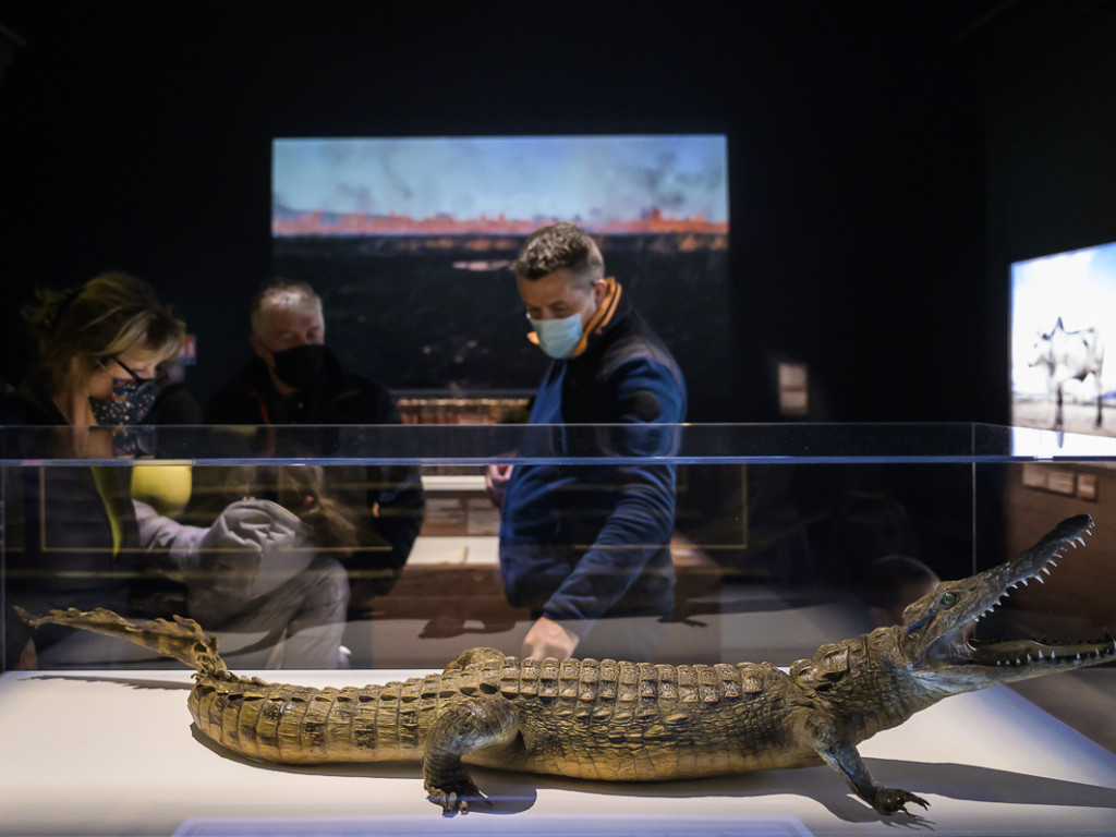 Musée des Confluences : voyage en terre malgache avec Makay