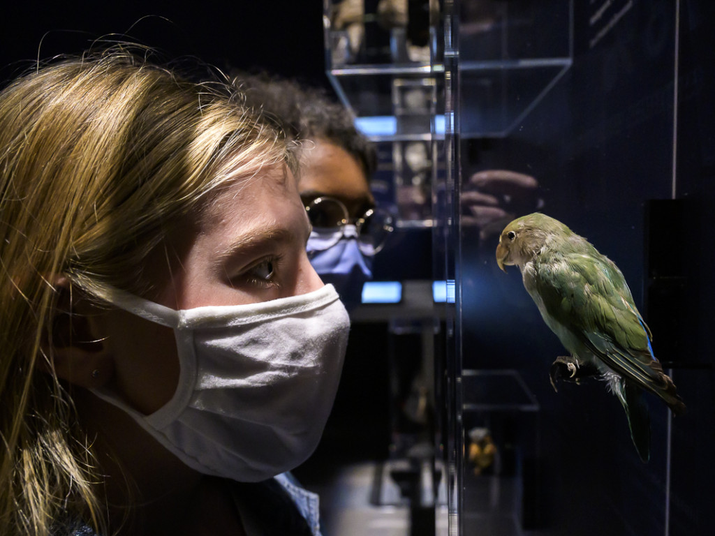 Musée des Confluences : voyage en terre malgache avec Makay