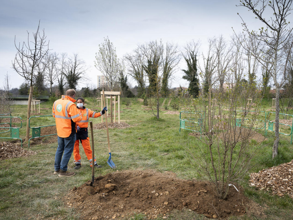 Des forêts urbaines au cœur de la Métropole