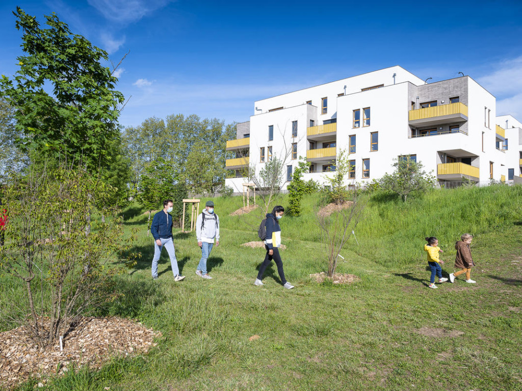 Une forêt urbaine à Sathonay-Camp