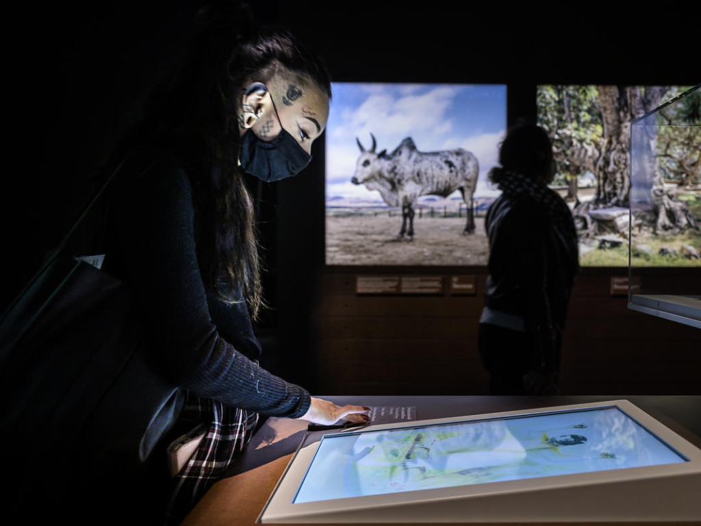 Nos idées de sorties culturelles pendant l'été