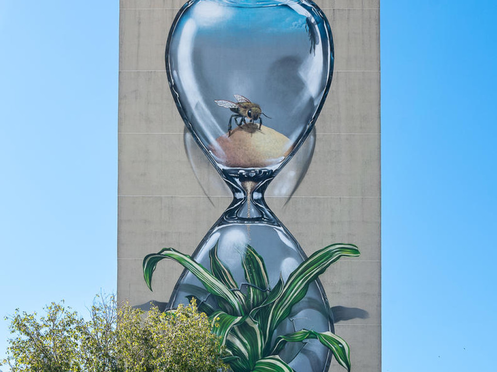 Rillieux-la-Pape : place au Street-art !