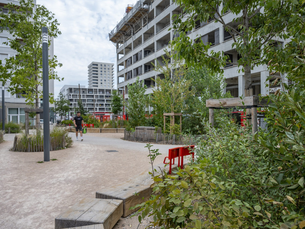 À Confluence, des plantations pour lutter contre la chaleur