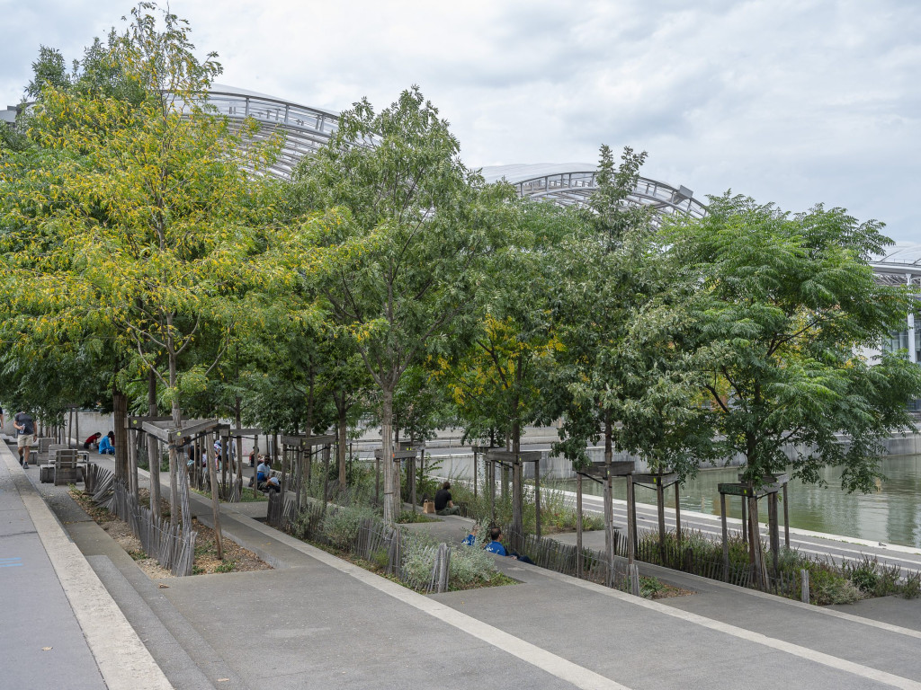 À Confluence, des plantations pour lutter contre la chaleur