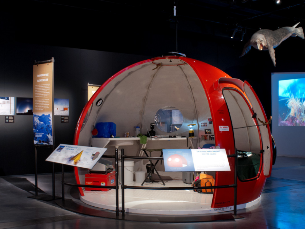 Retour en images : 10 ans d'expos et d'événements au musée des Confluences