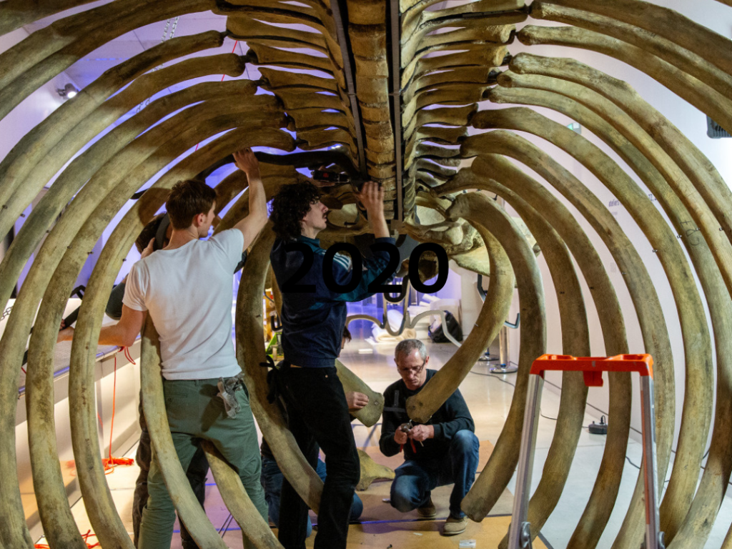 Retour en images : 10 ans d'expos et d'événements au musée des Confluences