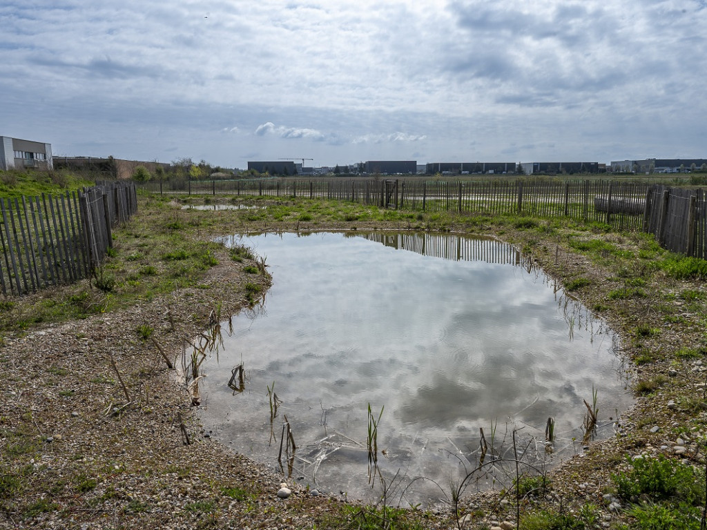 Plaine aux œdicnèmes : la nature à la place du béton