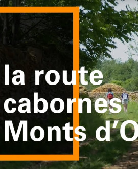 Grand Lyon Nature : sur la route des cabornes à Saint-Didier-au-Mont-d'Or