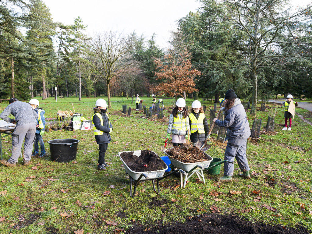 3000 nouveaux arbres plantés au parc de Parilly