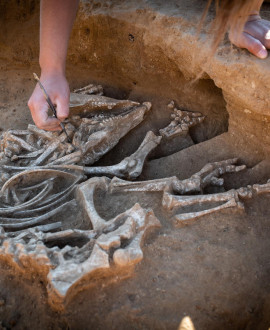 Fouilles archéologiques : les trésors de l'âge du Bronze de Saint-Genis-Laval