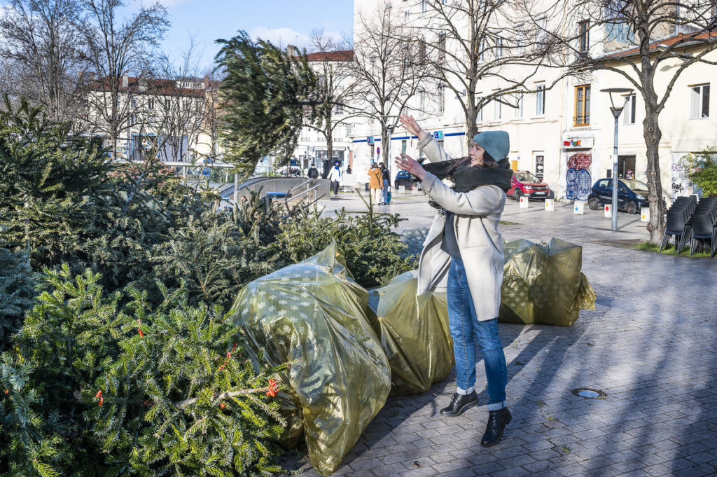 Une jeune femme dépose son sapin à un point de collecte pour qu'il soit recyclé