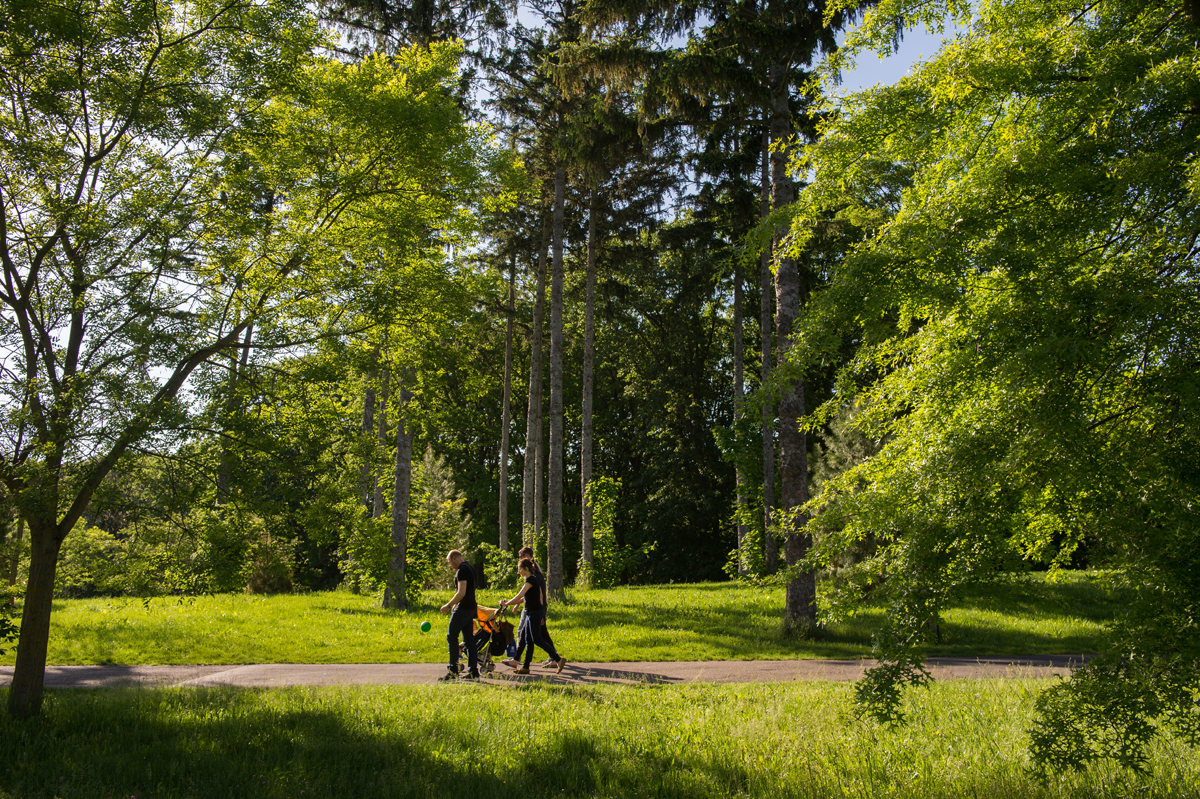 Avec plus de 18 000 arbres recensé sur ses 178 hectares, le parc de Parilly offre un cadre très agréable pour une balade en famille © Laurence Danière // Grand Lyon 