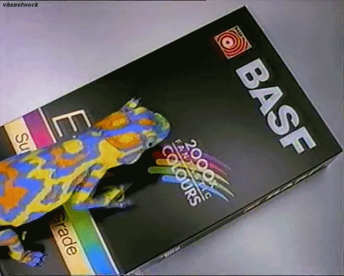 caméléon