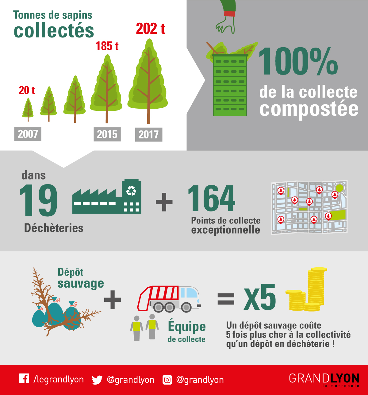 202 tonnes de sapins ont été ramassés dans la Métropole de Lyon lors de la période hivernale.