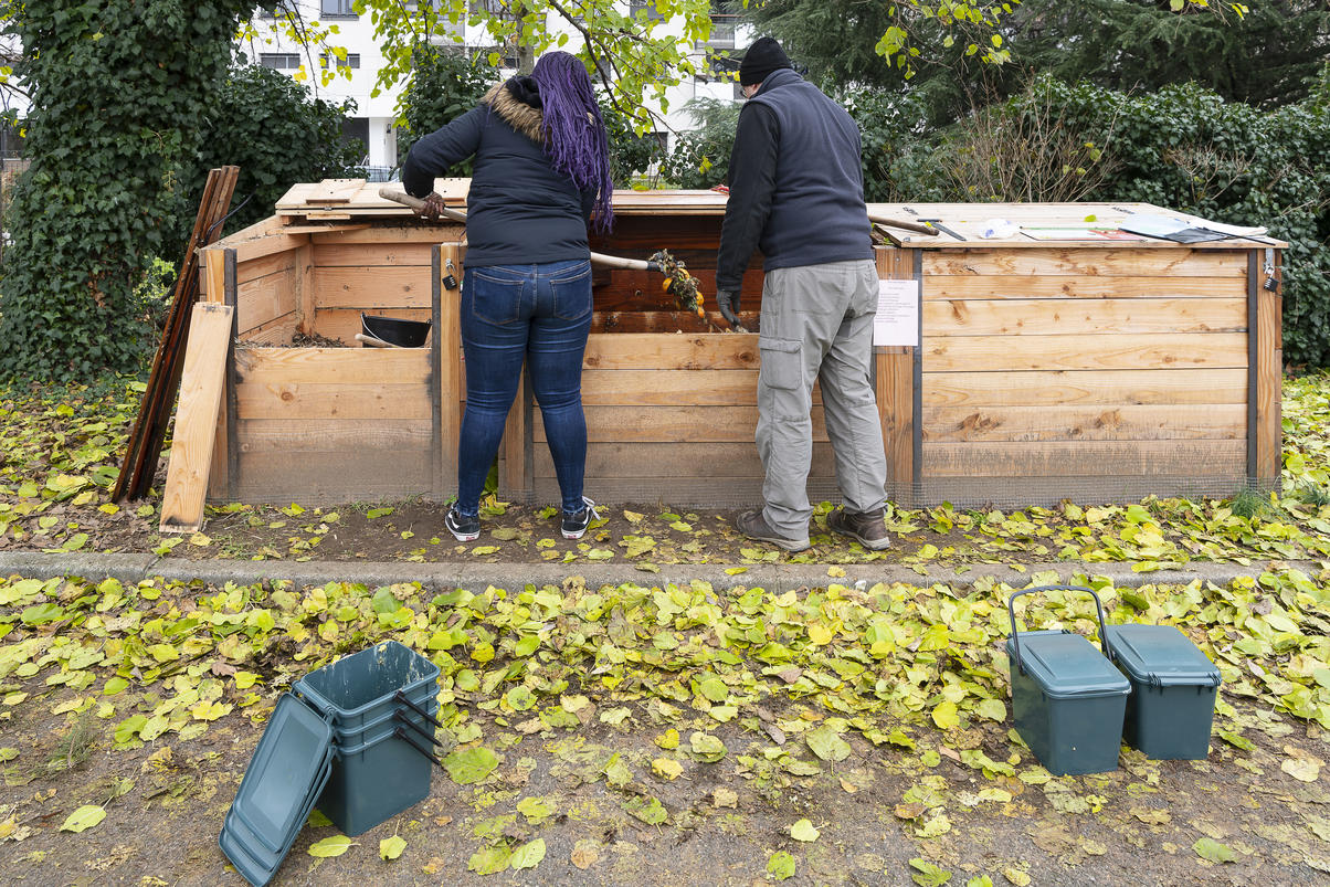 Des jeunes collégiens entretiennent un compost